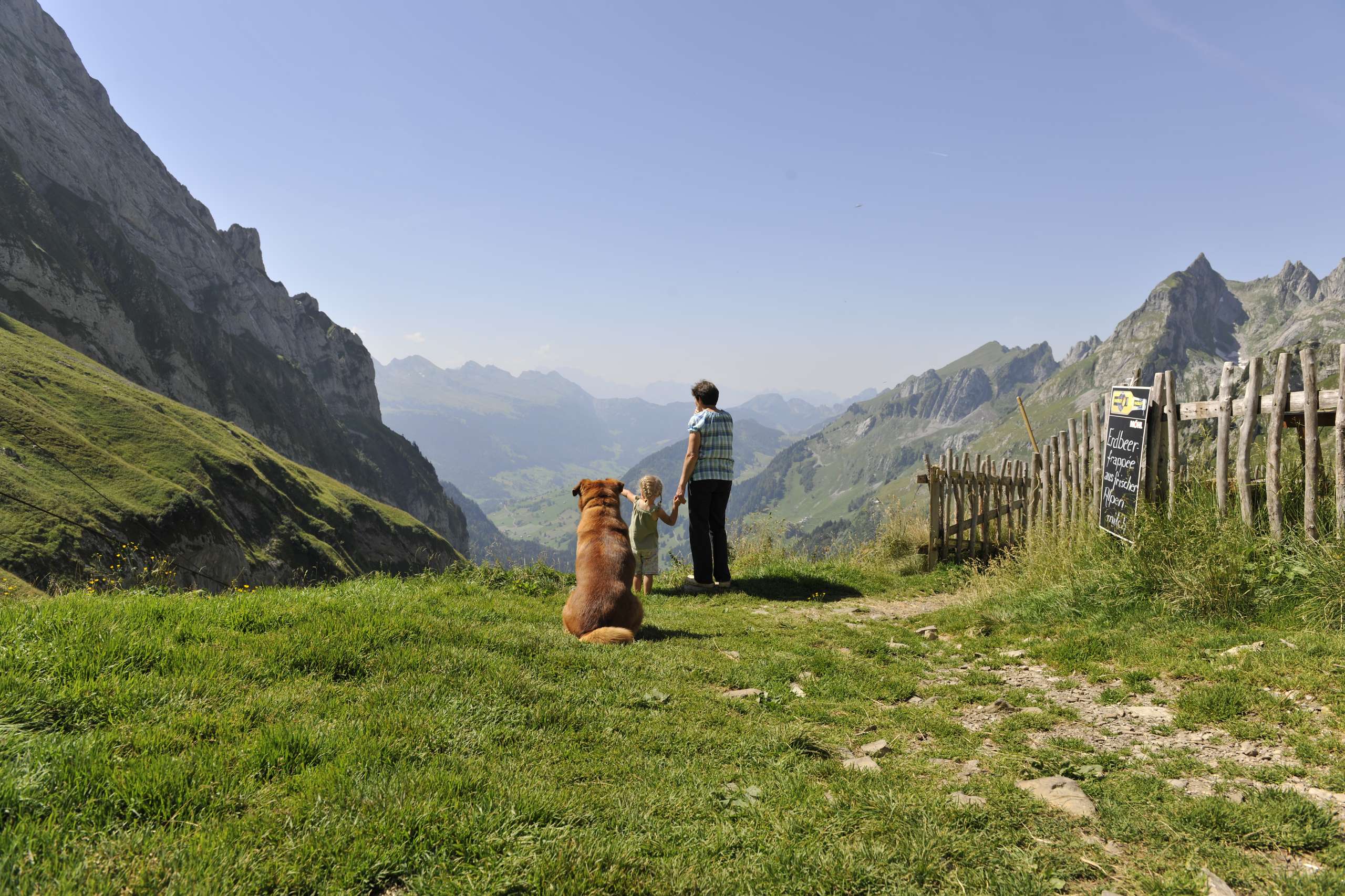 sonnig, unbearbeitet 2024