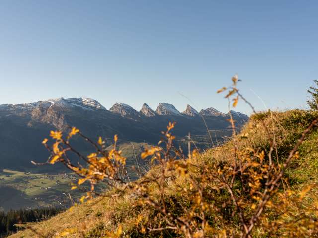Tourismusplattform Toggenburg - Freitag, 30. Oktober