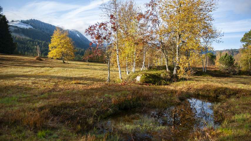 Airbnb erhebt neu Kurtaxen im Kanton St. Gallen