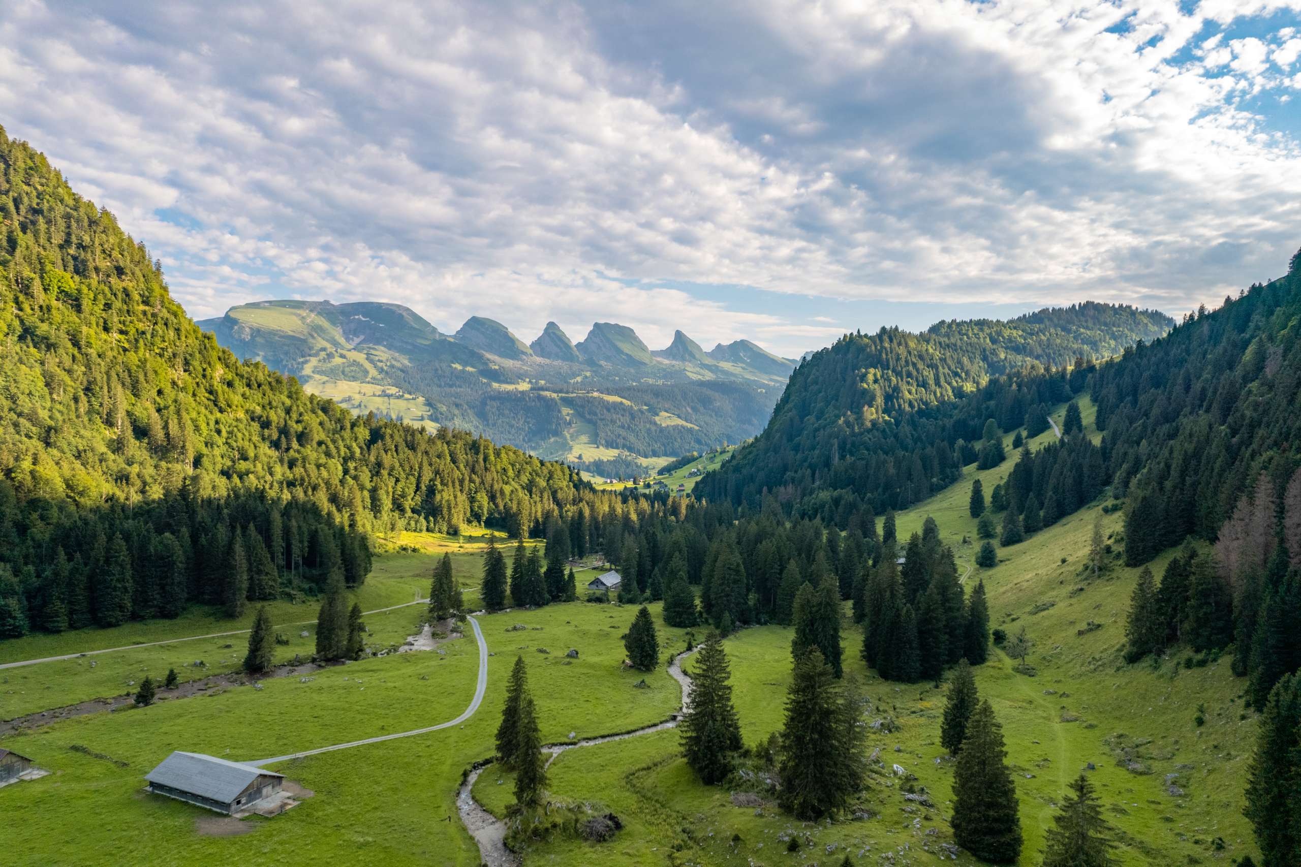 Berge, sonnig, unbearbeitet 2024, Wald, Wiesen
